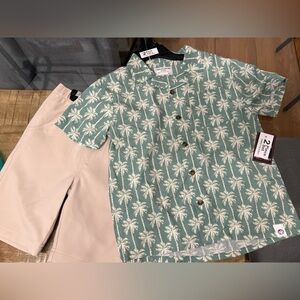 Free planet  Palm Print Shirt in Green and beige shorts and shirts set